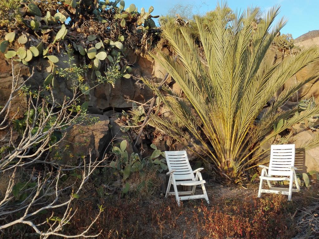 Finca Patio Canario